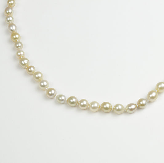 Zuchtperl Akoya 7-7,5mm Endloscollier 70cm aus Geschäftsauflösung